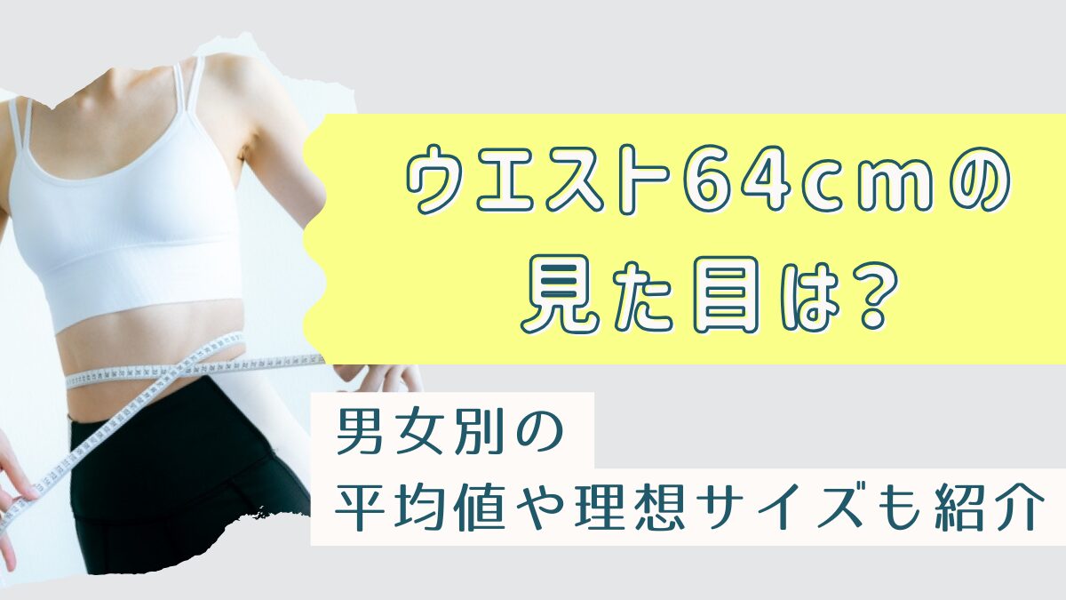 ウエスト64cmの見た目は？年代・身長別に男女の平均値や理想サイズも解説