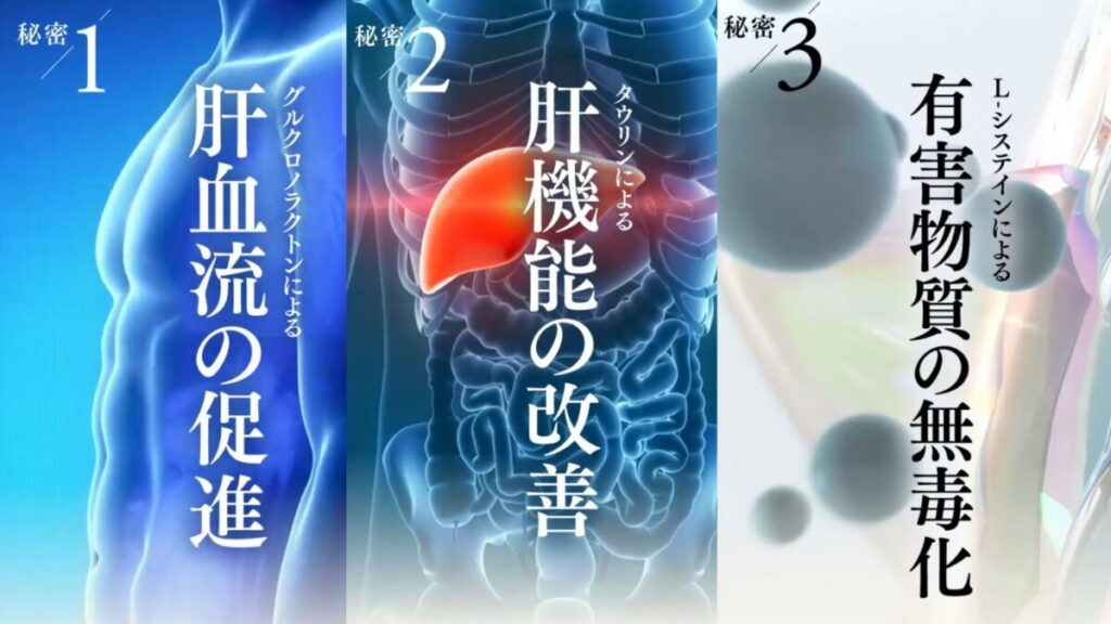 肝要マキシム習慣の肝臓に作用する3つの解毒成分の説明画像