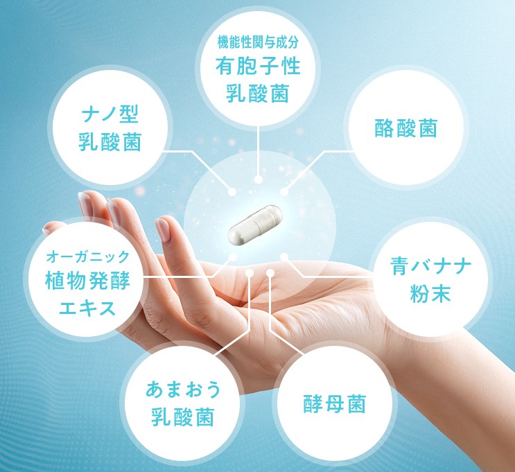スリリンエス乳酸菌の1粒にたくさんの成分が入っている画像