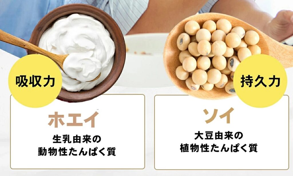 リッチライズプロテインに含まれている2種類のプロテインの説明画像